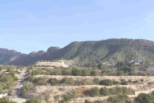 Tanatorios en Murcia