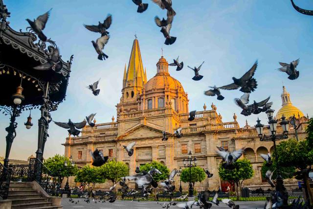 Tanatorios en Guadalajara